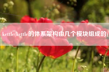 kettle(kettle的体系架构由几个模块组成的)