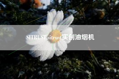 SITRUST,sitrust实创油烟机