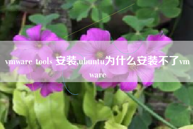 vmware tools 安装,ubuntu为什么安装不了vmware
