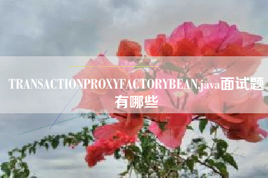 TRANSACTIONPROXYFACTORYBEAN,java面试题有哪些