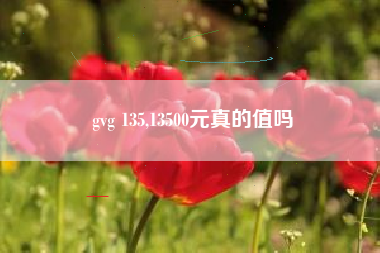 gvg 135,13500元真的值吗