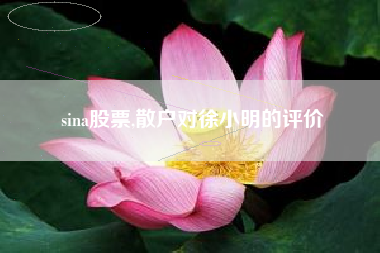 sina股票,散户对徐小明的评价