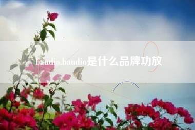 baudio,baudio是什么品牌功放