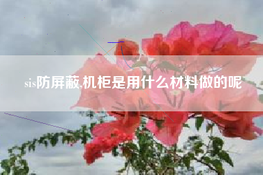 sis防屏蔽,机柜是用什么材料做的呢