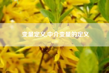 变量定义,中介变量的定义