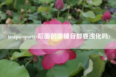 testpassport(s后面的清辅音都要浊化吗)