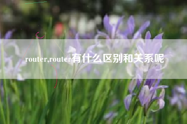 router,router有什么区别和关系呢