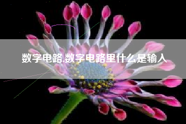 数字电路,数字电路里什么是输入