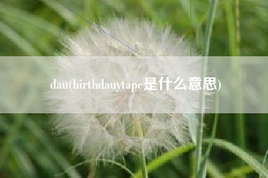 dau(birthdauytape是什么意思)