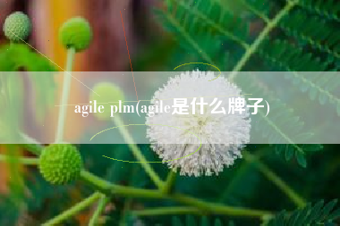 agile plm(agile是什么牌子)