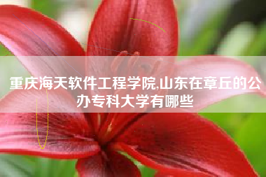 重庆海天软件工程学院,山东在章丘的公办专科大学有哪些