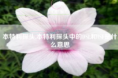 本特利探头,本特利探头中的DSL和ISF是什么意思