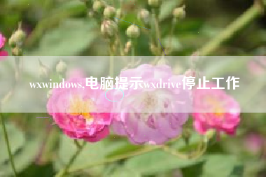 wxwindows,电脑提示wxdrive停止工作