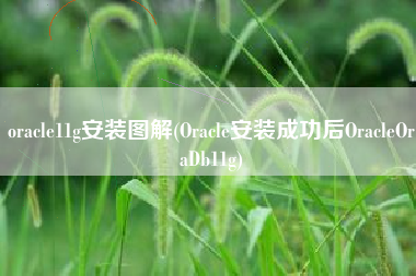 oracle11g安装图解(Oracle安装成功后OracleOraDb11g)