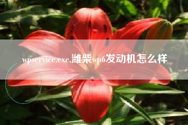 wpservice.exe,潍柴wp6发动机怎么样