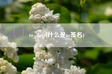 to_date(什么是to签名)