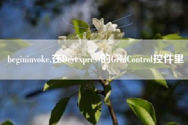 begininvoke,在Devexpress的GridControl控件里