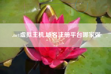 .net虚拟主机,域名注册平台哪家强