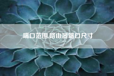 端口范围,路由器端口尺寸