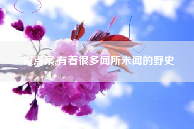 微点案,有着很多闻所未闻的野史