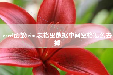 excel函数trim,表格里数据中间空格怎么去掉
