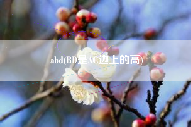 abd(BD是AC边上的高)