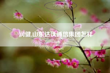 润健,山东达沃通信集团怎样