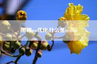 黑帽seo优化,什么是heilian