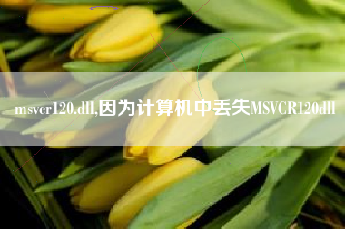 msvcr120.dll,因为计算机中丢失MSVCR120dll