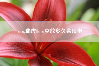 oro,瑞虎8oro空放多久会没电