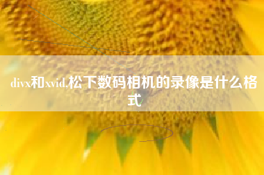 divx和xvid,松下数码相机的录像是什么格式