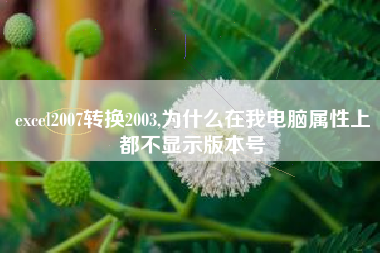 excel2007转换2003,为什么在我电脑属性上都不显示版本号
