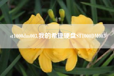 st1000dm003,我的希捷硬盘ST1000DM003