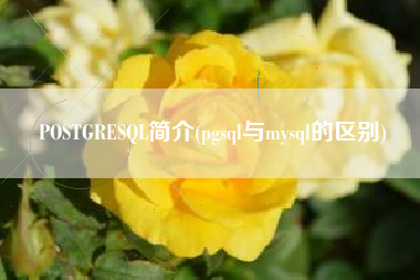 POSTGRESQL简介(pgsql与mysql的区别)