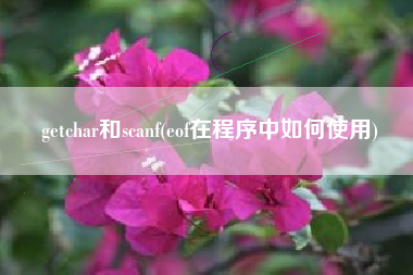 getchar和scanf(eof在程序中如何使用)