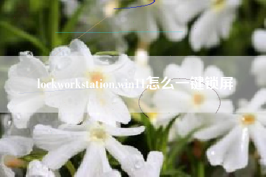 lockworkstation,win11怎么一键锁屏