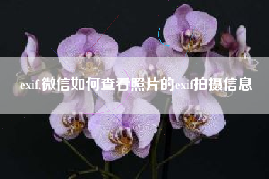exif,微信如何查看照片的exif拍摄信息