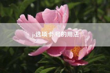 js选项卡,号的用法