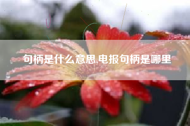 句柄是什么意思,电报句柄是哪里