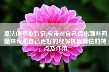 算法的基本特征,应该对自己提出哪些问题来帮助自己更好的理解机器算法的特点及作用