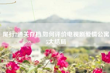 尾行2通关存档,如何评价电视剧爱情公寓5大结局