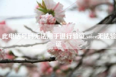 此电话号码无法用于进行验证,voice无法验证