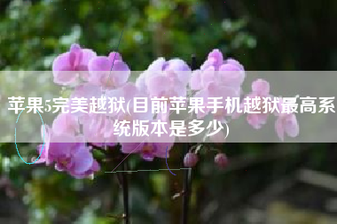 苹果5完美越狱(目前苹果手机越狱最高系统版本是多少)