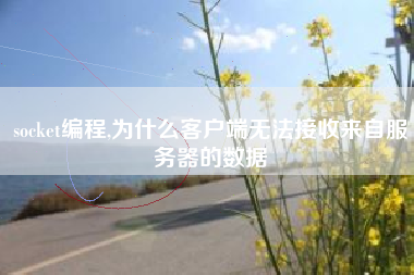 socket编程,为什么客户端无法接收来自服务器的数据