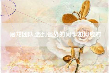 屠龙团队,遇到强势的同事如何应对