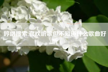 哼唱搜索,喜欢听歌但不知道什么歌曲好听