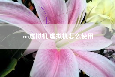 vm虚拟机,虚拟机怎么使用