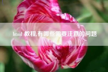 html 教程,有哪些需要注意的问题