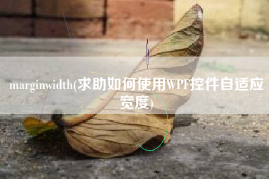 marginwidth(求助如何使用WPF控件自适应宽度)