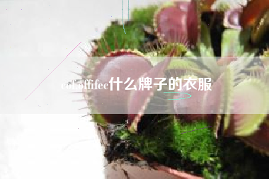 cof,offifec什么牌子的衣服